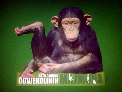Godina čovjekolikih majmuna zelena pamučna majica